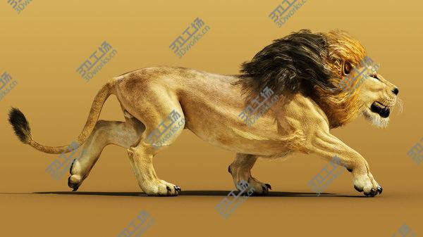 images/goods_img/20210312/3D Lion model/3.jpg